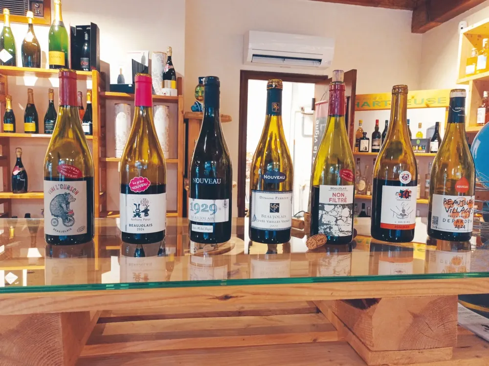 vins (8)
